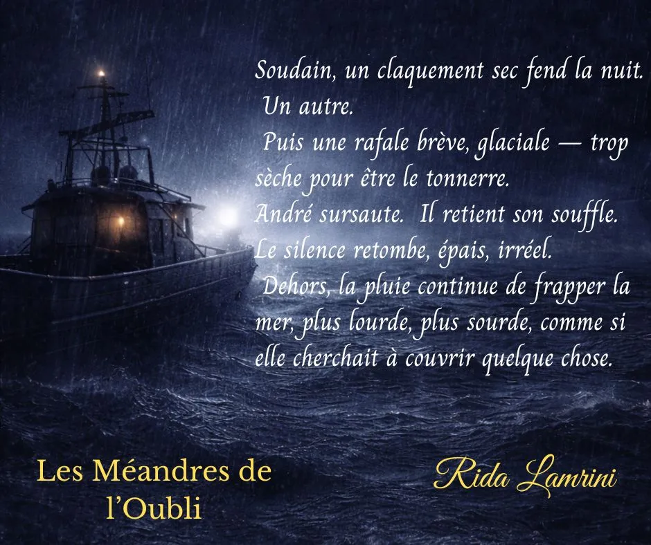 Extrait 2 du roman Les méandres de l'oubli par Rida Lamrini